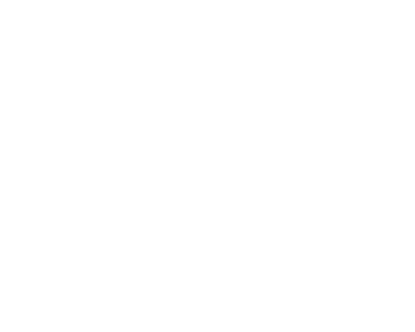 Citrix Service Provider Logo