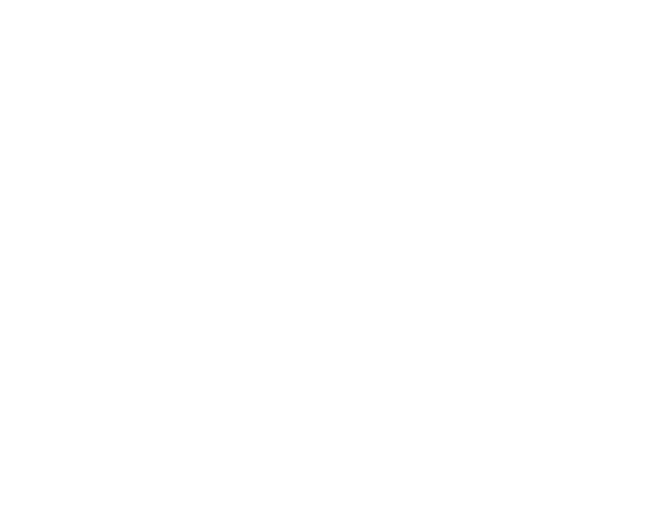 Citrix Solution Advisor Logo